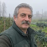 Giorgio